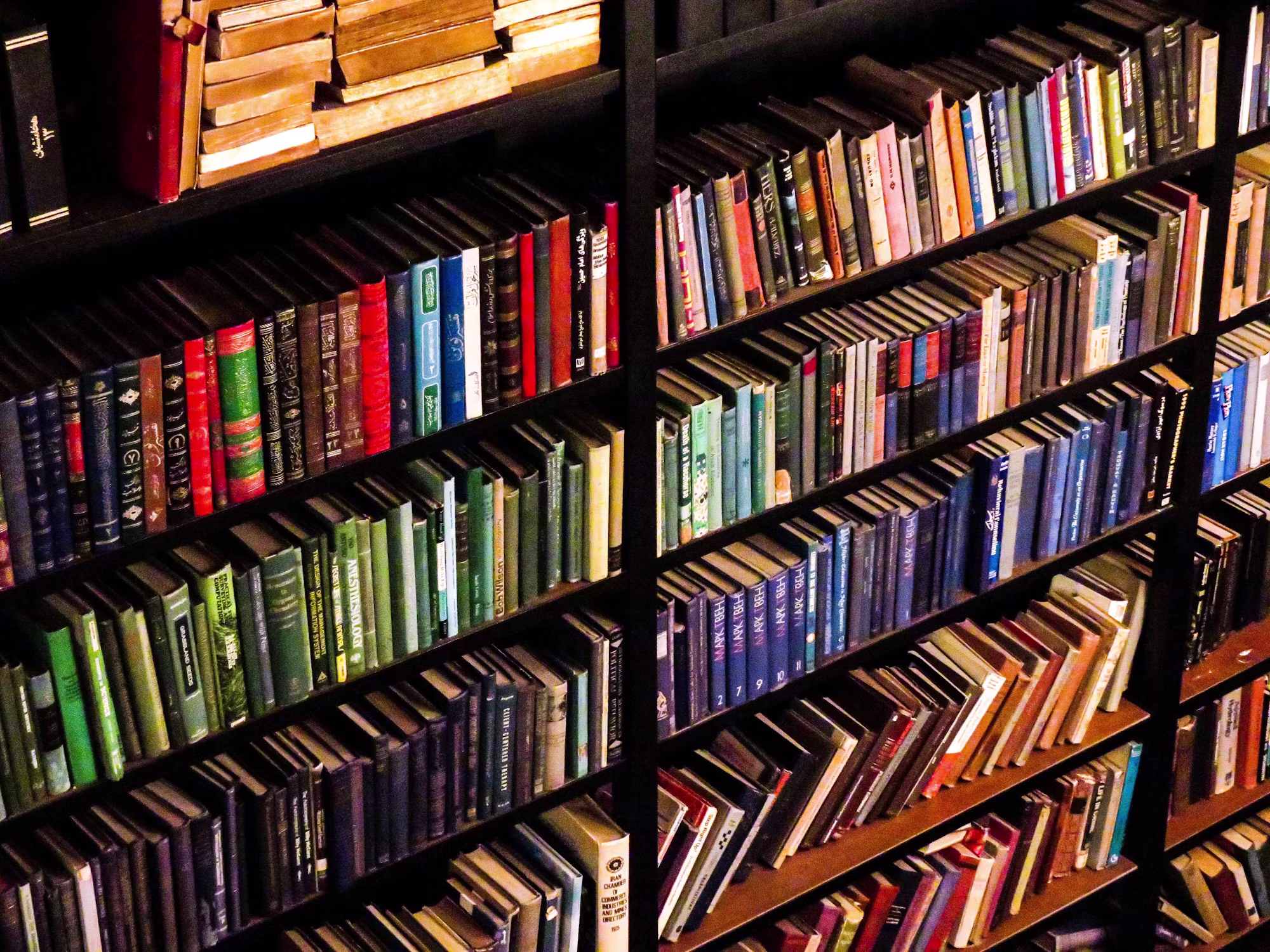 Empowering Educators: The Importance of Professional Development Books