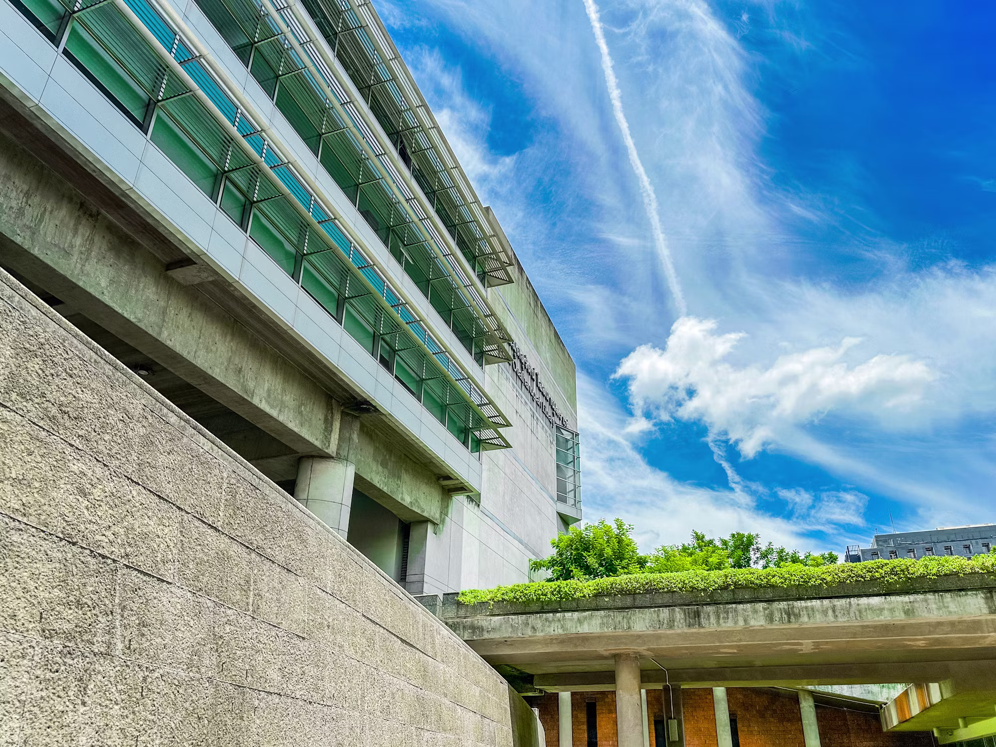 Libraries: The Heartbeat of Lifelong Learning and Community Growth